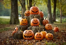 Kürbisse mit Persönlichkeit