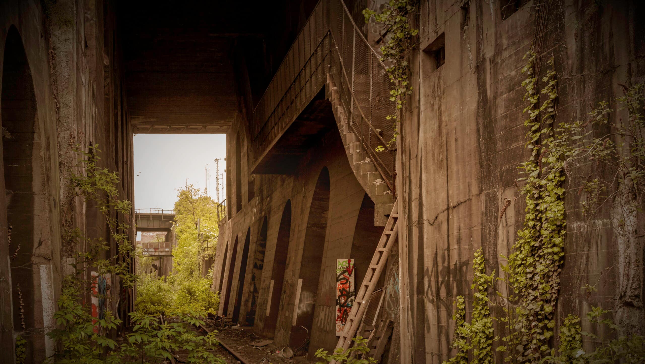 Verlassene Betonstruktur mit überwucherter Vegetation und Graffiti.