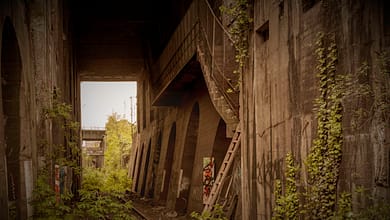 Verlassene Betonstruktur mit überwucherter Vegetation und Graffiti.