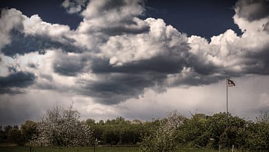 Zerrissene Flagge unter dramatischem Himmel über blühender Landschaft.