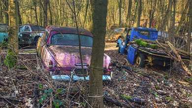 Verlassene, rostige Oldtimer auf einem Waldfriedhof.